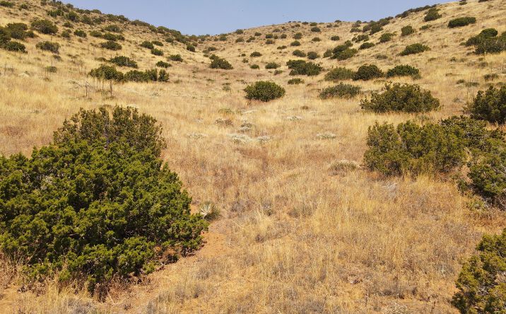 Pictures of Land property located at Valley Sage Rd, Acton, CA 93510 for sales - image #1