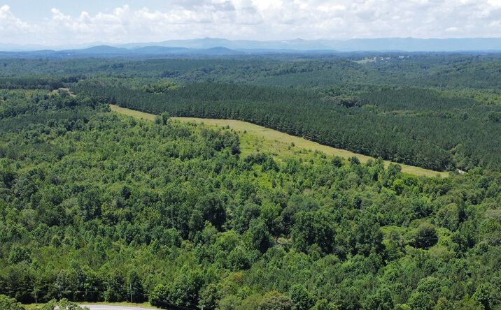 Pictures of Land property located at 1169 Lenhardt Rd, Easley, SC 29640 for sales - image #1