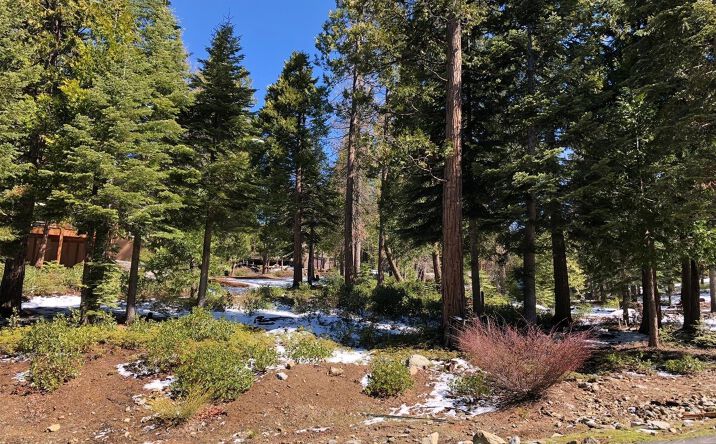 Pictures of Land property located at 42518 Tourmaline Ln, Shaver Lake, CA 93664 for sales - image #1
