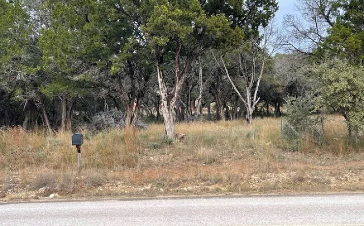 Pictures of Land property located at 6383 Whartons Dock, Bandera, TX 78003 for sales - image #1