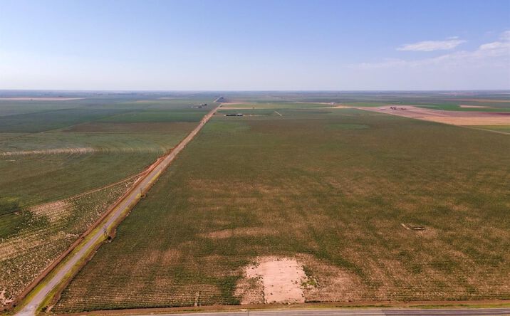 Pictures of Land property located at 6130 FM 41, Ropesville, TX 79358 for sales - image #1