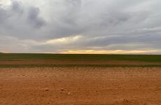 29672542