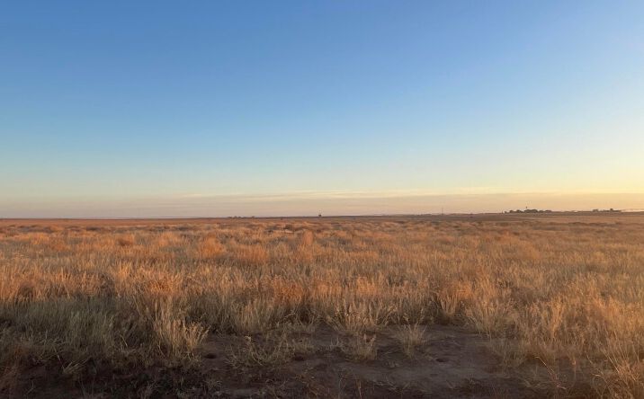 Pictures of Land property located at CR 132, Loop, TX 79342 for sales - image #1