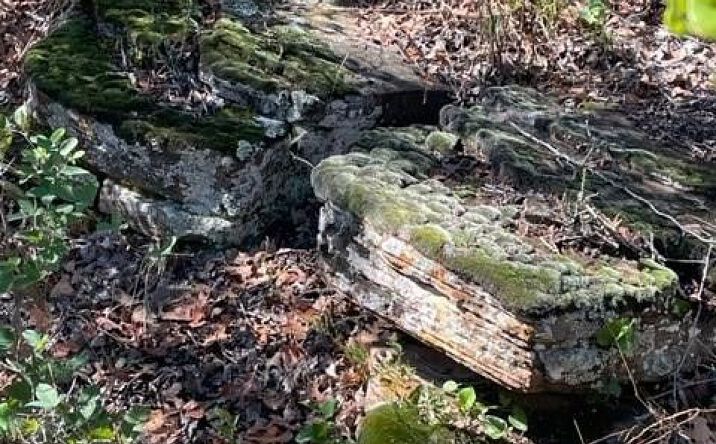 Pictures of Land property located at 0 County Road 136, Breckenridge, TX 76424 for sales - image #1