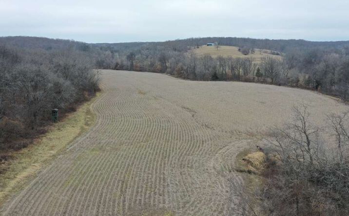 Pictures of Land property located at 000 Morelock Cemetery Rd, Green Castle, MO 63544 for sales - image #1
