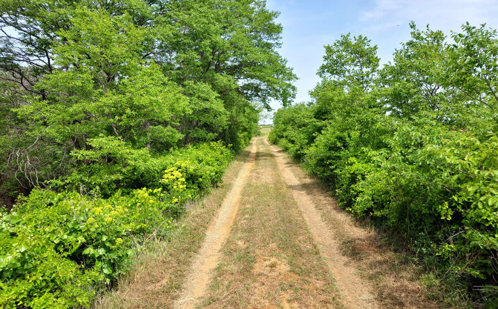 Pictures of Land property located at 4500 FM 587, De Leon, TX 76444 for sales - image #1