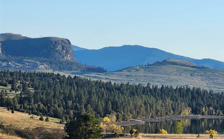 Pictures of Land property located at 28821 Walking Horse Lane, Big Arm, MT 59910 for sales - image #1