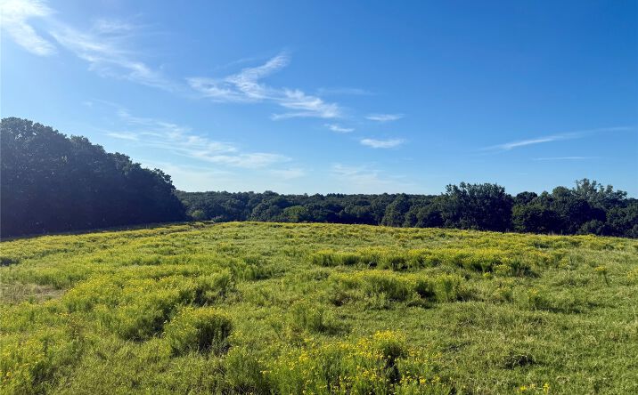 Pictures of Land property located at 29110 S 321st West Avenue, Bristow, OK 74010 for sales - image #1