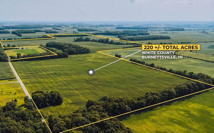 Pictures of Land property located at 220 +/- Acres of Productive Cropland & Desirable Hunting, North of Burnettsville, IN 47926 for sales - image #1