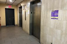 29676310