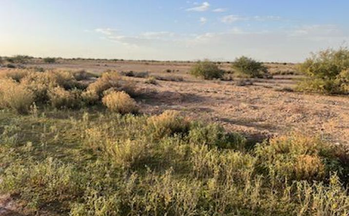Pictures of Land property located at 2450 E Selma Hwy, Casa Grande, AZ 85122 for sales - image #1