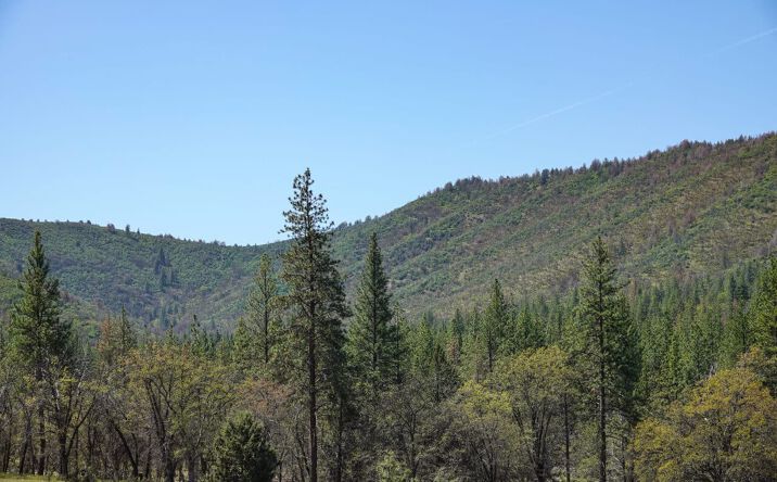 Pictures of Land property located at 0 East Rd, Fort Jones, CA 96032 for sales - image #1