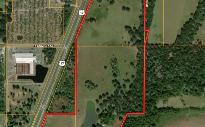 Pictures of Land property located at Hwy 17 North, Arcadia FL, ARCADIA, FL 34266 for sales - image #1