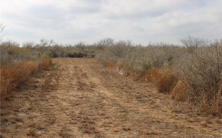 Pictures of Land property located at Private, Encino, TX 78353 for sales - image #1