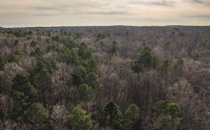 Pictures of Land property located at 10 acres off Highway Y, Grandin, MO 63953 for sales - image #1