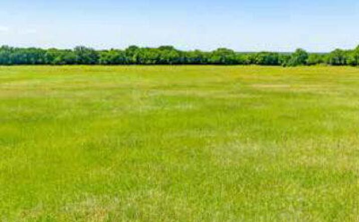 Pictures of Land property located at 8001 Brock Hwy, Lipan, TX 76462 for sales - image #1