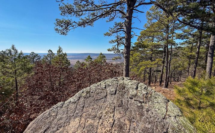 Pictures of Land property located at 0000, Daisy, USA 74560 for sales - image #1