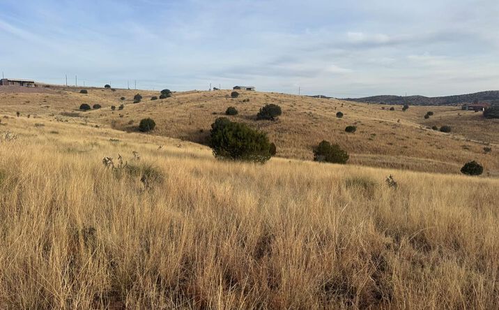 Pictures of Land property located at 106 White Tail Dr, Fort Davis, TX 79734 for sales - image #1