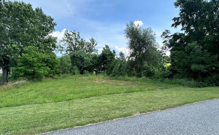 Pictures of Land, Multifamily property located at .52 ac W North St, Wytheville, VA 24382 for sales - image #1
