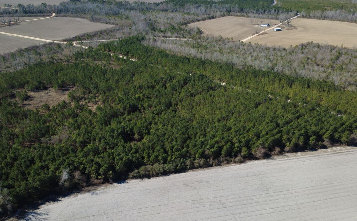 Pictures of Land property located at Greyhound Rd, Mershon, GA 31551 for sales - image #1