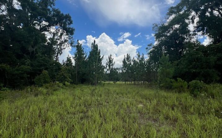 Pictures of Mixed Use, Land, Multifamily property located at 17825 NW US Hwy 441, High Springs, FL 32643 for sales - image #1