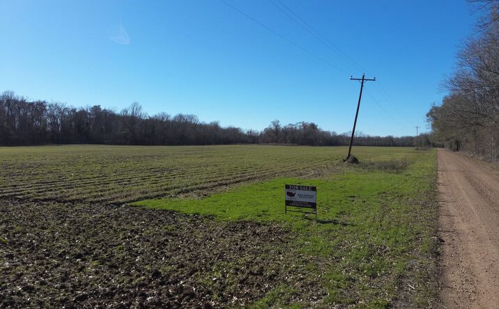 Pictures of Land property located at 1240 Willow Lake Rd, Jonesville, LA 71343 for sales - image #1