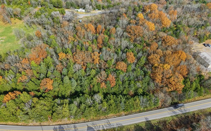 Pictures of Land property located at 6468 Arno-College Grove Rd, College Grove, TN 37046 for sales - image #1