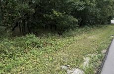 29695782