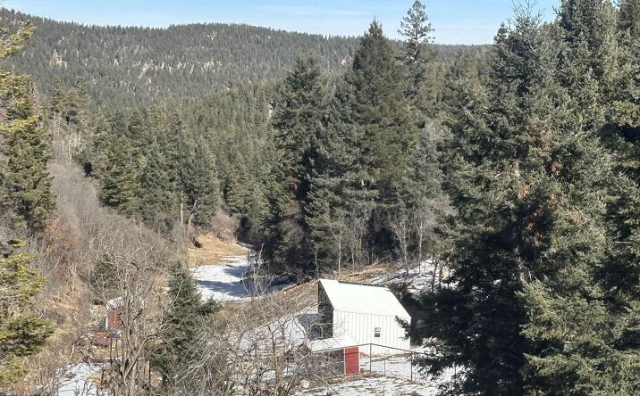 Pictures of Land property located at 146 Clear Nite Road, Cloudcroft, NM 88317 for sales - image #1