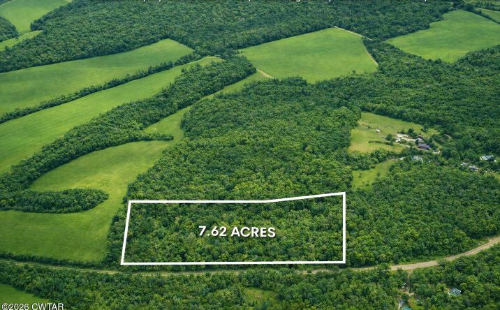 Pictures of Land property located at Auction Lane, Cedar Grove, TN 38321 for sales - image #1