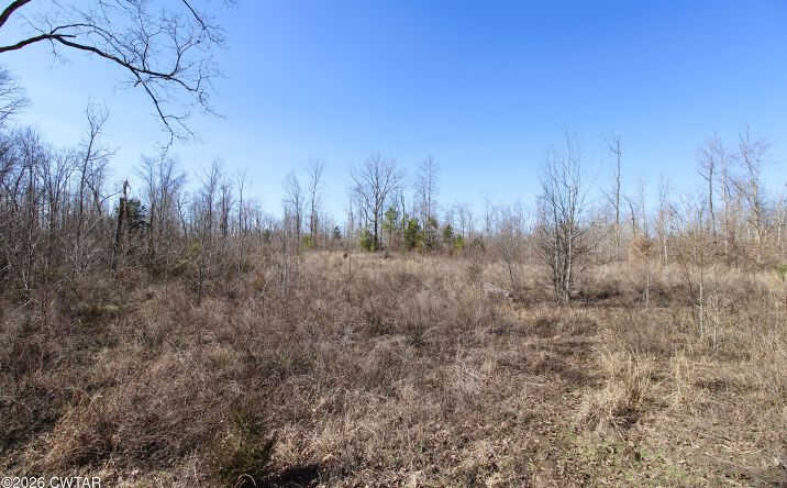 Pictures of Land property located at Shady Hill Road, Lexington, TN 38351 for sales - image #1