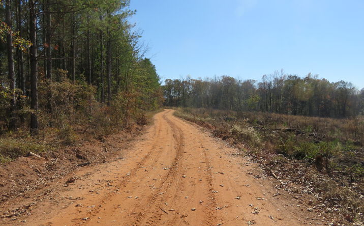 Pictures of Land property located at Benevolence Hwy, Cutberth, GA 39840 for sales - image #1