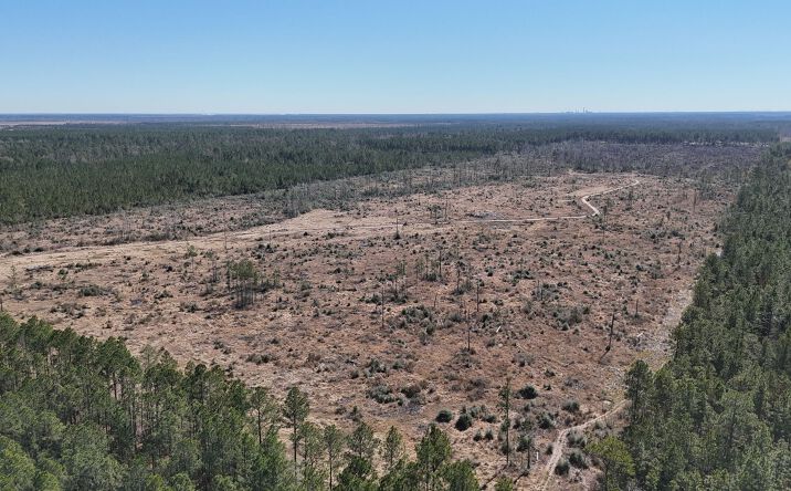 Pictures of Land property located at 3800 Camp Edgewood Rd, Ragley, LA 70657 for sales - image #1
