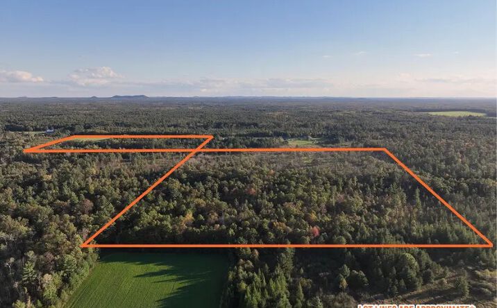 Pictures of Land property located at Anderson Rd, Neillsville, WI 54456 for sales - image #1