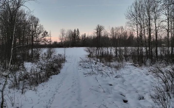 Pictures of Land property located at Bobwhite Rd, Neillsville, WI 54456 for sales - image #1