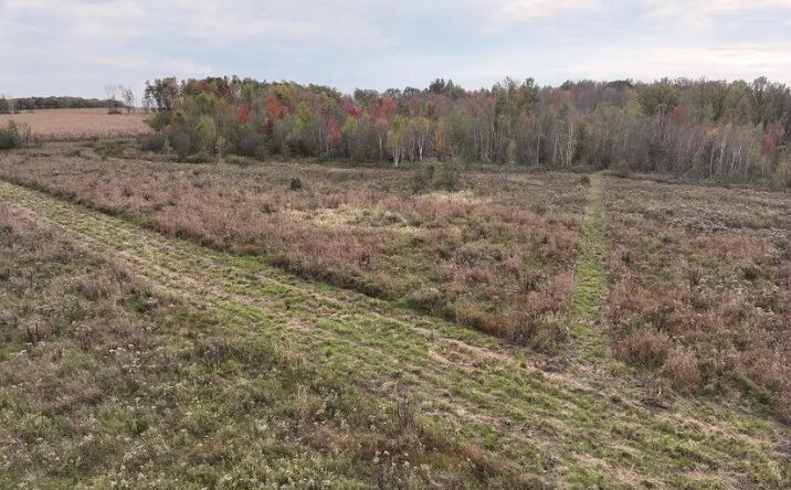 Pictures of Land property located at County Rd O, Greenwood, WI 54437 for sales - image #1
