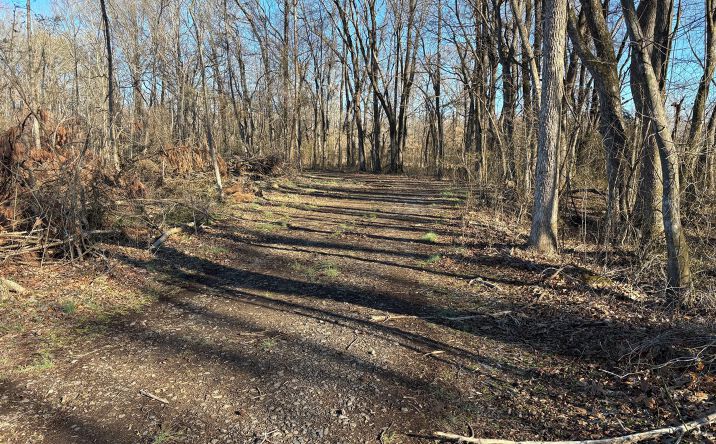 Pictures of Land property located at 000 Hwy 16, Albion, USA 72143 for sales - image #1