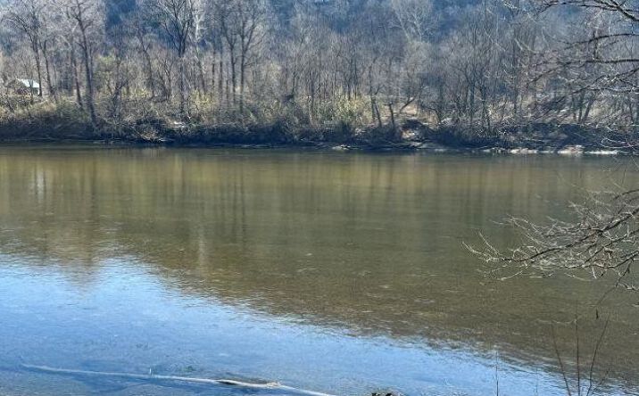 Pictures of Land property located at 002-11202-009 Plane Tree Lane, Mountain Home, AR 72653 for sales - image #1