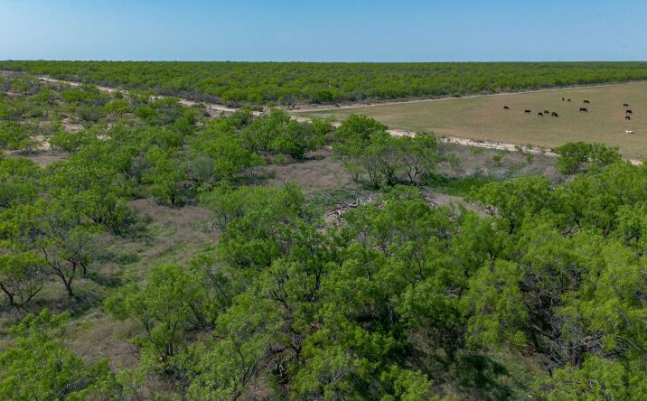 Pictures of Land property located at 13388 Co Rd 1445, Paint Rock, USA 76866 for sales - image #1
