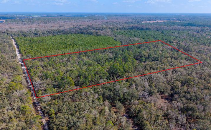 Pictures of Land property located at TBD NE 25th Ave, Branford, FL 32008 for sales - image #1
