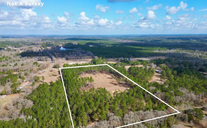 Pictures of Land, Multifamily property located at 35 Thompson Lane, Carriere, MS 39426 for sales - image #1
