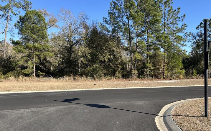 Pictures of Land property located at 3844 Timber Ridge Rd, Valdosta, GA 31601 for sales - image #1