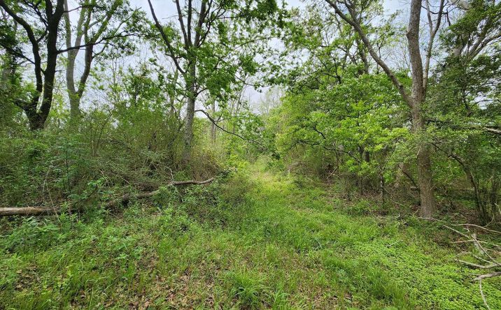 Pictures of Land property located at 14500 Jasmine Road, Kaplan, LA 70548 for sales - image #1