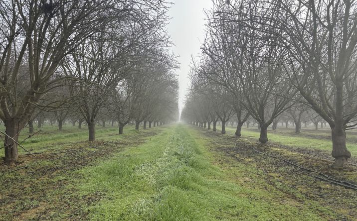 Pictures of Land property located at 29751 7th Standard Rd, Bakersfield, CA 93314 for sales - image #1