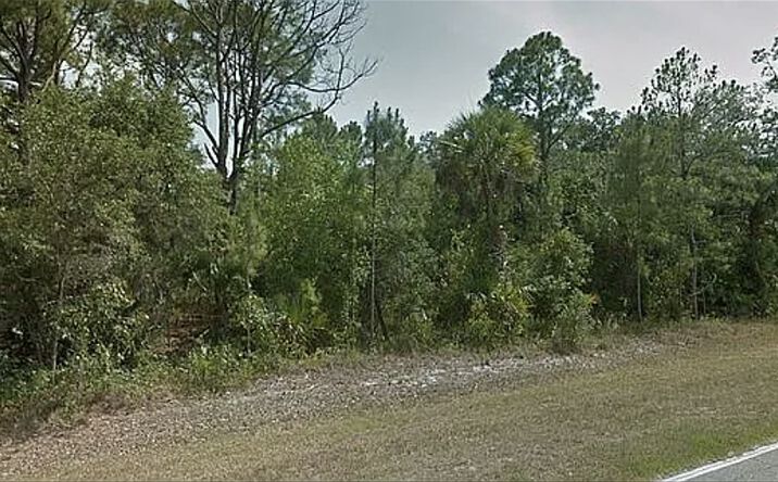 Pictures of Land property located at 412 Montura Ave, Clewiston, FL 33440 for sales - image #1