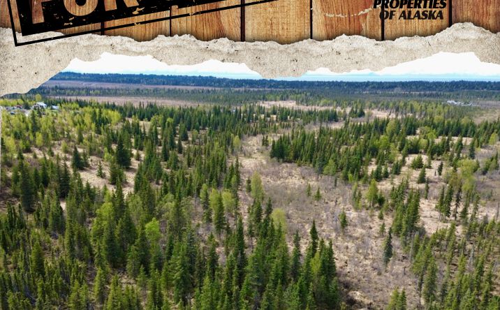 Pictures of Land property located at 25645 Stinkbug St, Anchor Point, AK 99556 for sales - image #1