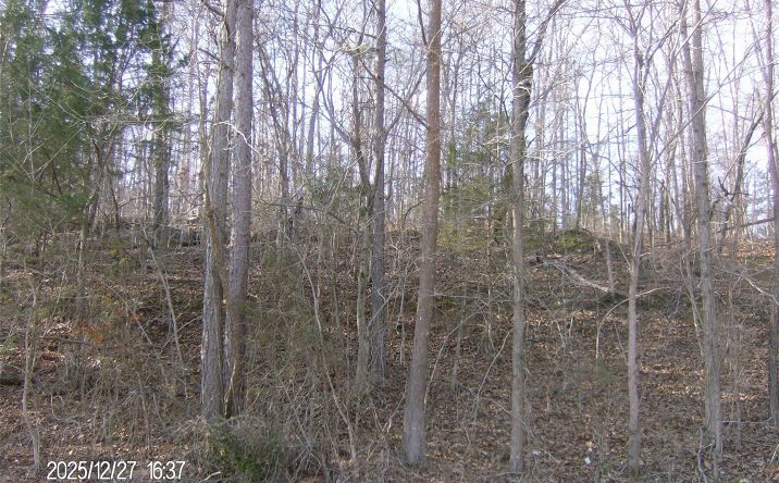 Pictures of Land property located at 19945 E 720 Road, Tahlequah, OK 74464 for sales - image #1