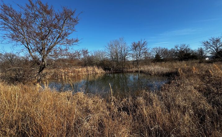 Pictures of Land property located at E State Hwy 43, Daisy, OK 74540 for sales - image #1