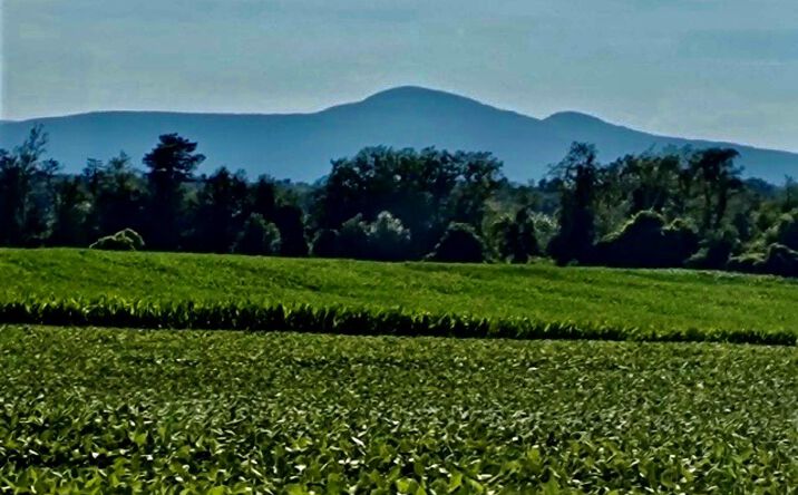 Pictures of Land property located at Orchard, Livingston, NY 12541 for sales - image #1