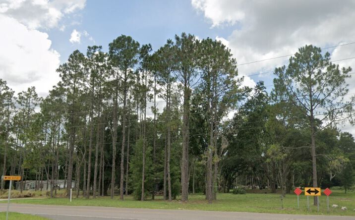 Pictures of Land property located at 7609 Old Pasco Rd, Wesley Chapel, FL 33544 for sales - image #1